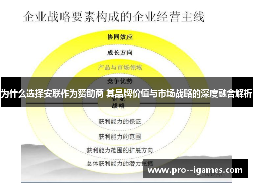 为什么选择安联作为赞助商 其品牌价值与市场战略的深度融合解析