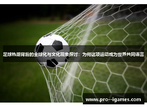 足球热潮背后的全球化与文化现象探讨:为何这项运动成为世界共同语言 足球热潮背后的全球化与文化现象探讨:为何这项运动成为世界共同语言