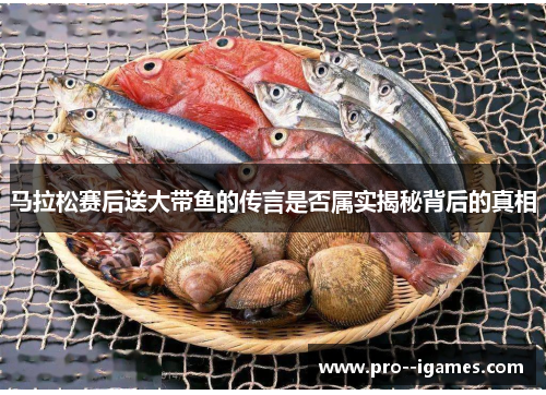 马拉松赛后送大带鱼的传言是否属实揭秘背后的真相